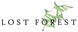 LostForest_TransparentLogo-300x123