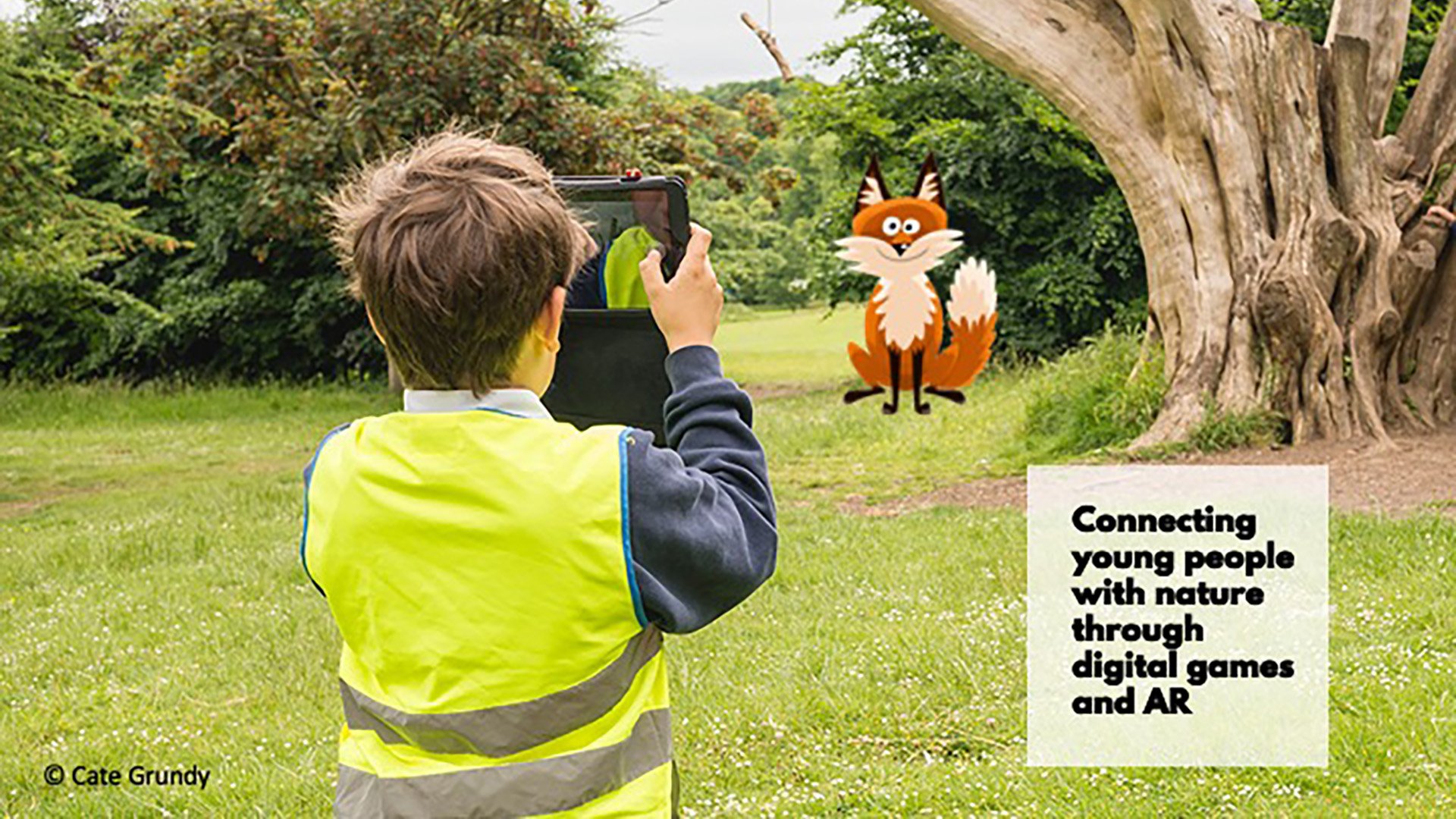 Foxinthepark